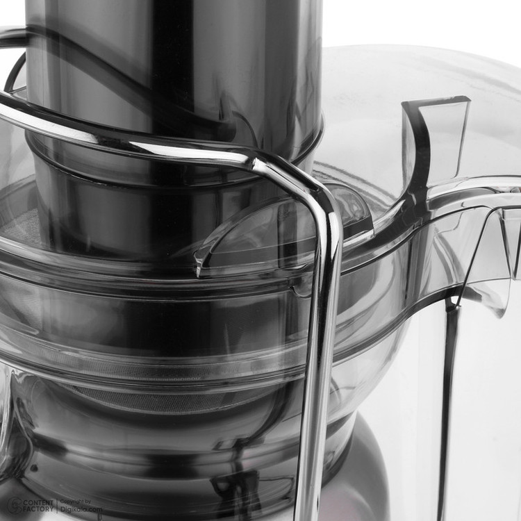 آبمیوه گیری رنه مدل RJB-1706