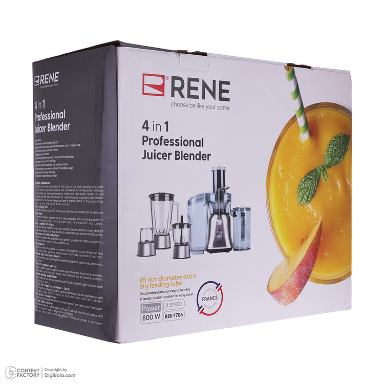 آبمیوه گیری رنه مدل RJB-1706